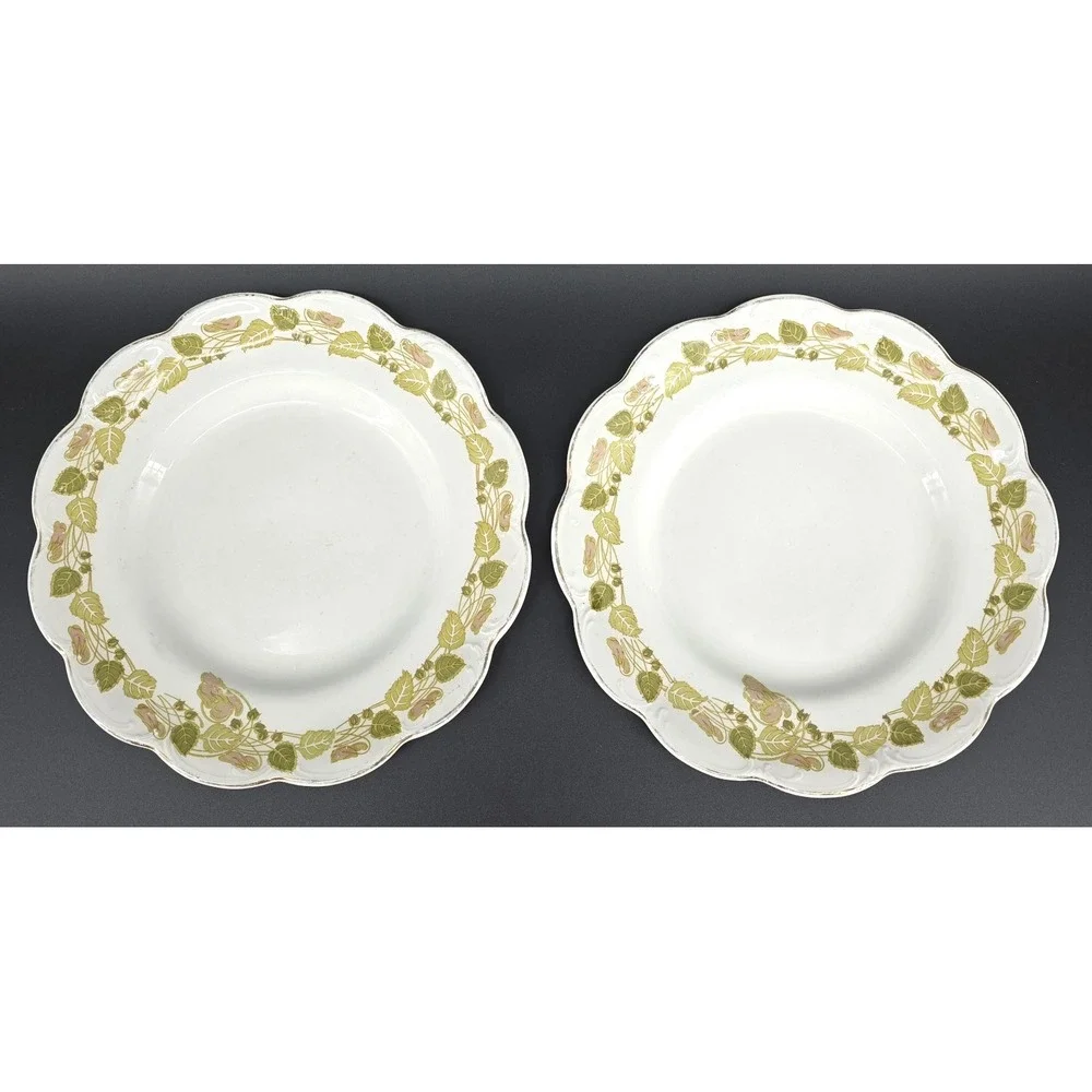 Set of 2 Johnson‎ Brothers The Tuscany Salad Plates Green Pink Leaves Scallop